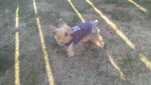 朝のお時間　2026/2/19