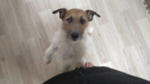 夜のお時間　2026/2/19