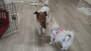 午前のお時間　2026/2/20