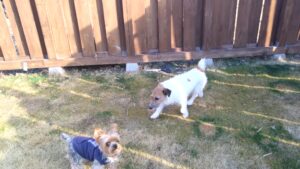 朝のお時間　2026/2/21