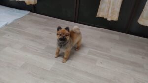 夜のお時間　2026/2/21