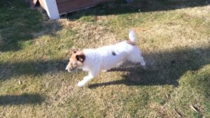 午前のお時間　2026/2/22