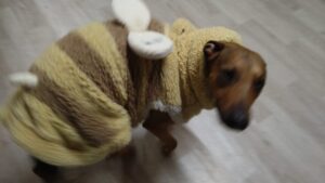 夜のお時間　2026/2/22