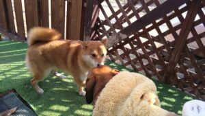 午前のお時間　2026/2/23