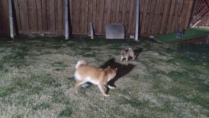 夜のお時間　2026/2/23