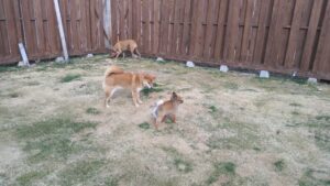 午前のお時間　2026/2/24