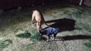 夜のお時間 2026/2/24