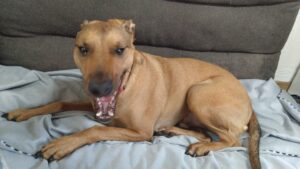 午前のお時間　2026/2/25