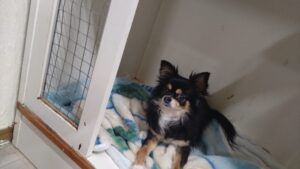 夜のお時間　2026/2/25