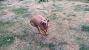 午前のお時間　2026/2/26