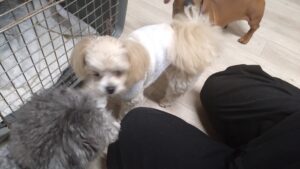 夜のお時間　2026/2/26