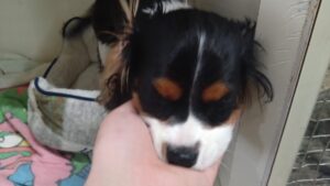 午前のお時間　2026/2/27