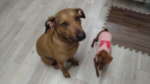 夜のお時間　2026/2/27