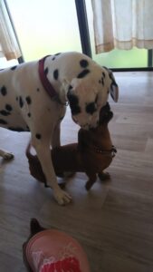 午前のお時間　2026/2/28