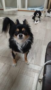 夜のお時間　2026/2/28