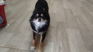 午前のお時間　2026/3/1