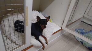 夜のお時間　2026/3/1