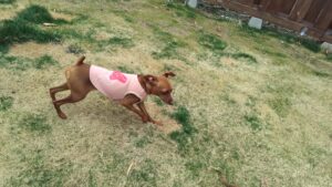 午前のお時間　2026/3/2