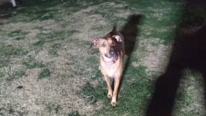 夜のお時間　2026/3/2