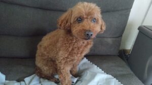 午前のお時間　2026/3/3