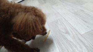 夜のお時間　2026/3/3