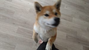 午前のお時間　2026/3/4