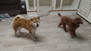 夜のお時間　2026/3/4