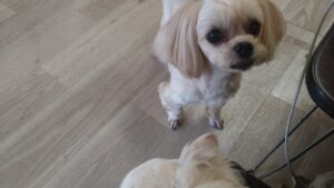 午前のお時間　2026/3/5