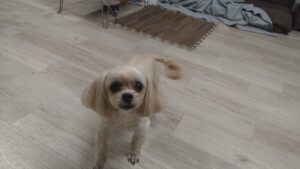 夜のお時間　2026/3/5