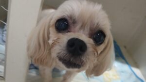 夜のお時間　2026/3/6