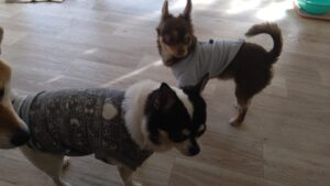 朝のお時間　2026/3/7