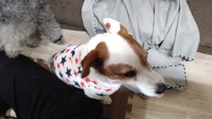 夜のお時間　2026/3/7