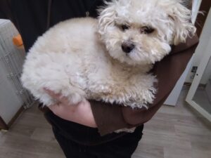 午前のお時間　2026/3/8