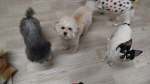 夜のお時間　2026/3/8