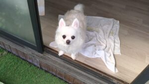 午前のお時間　2026/3/9