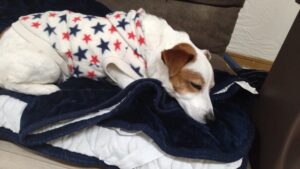 夜のお時間　2026/3/9