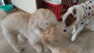 午前のお時間　2026/3/10