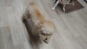 夜のお時間　2026/3/10