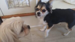 午前のお時間　2026/3/11