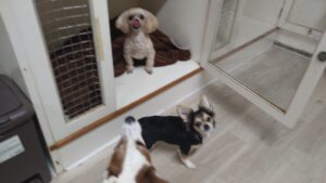 夜のお時間　2026/3/11