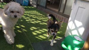 午前のお時間　2026/3/12