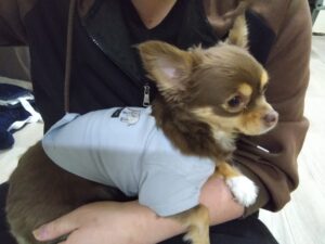 夜のお時間　2026/3/12