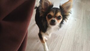 午前のお時間　2026/3/13