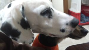 夜のお時間 2026/3/13