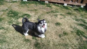 朝のお時間　2026/3/14