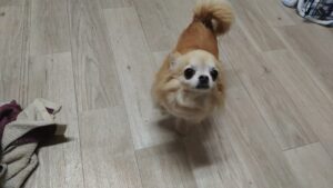 夜のお時間　2026/3/14