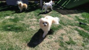 午前のお時間　2026/3/15