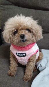 夜のお時間　2026/3/15