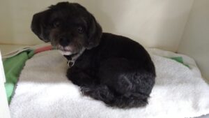 朝のお時間　2026/3/16