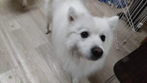 夜のお時間　2026/3/16